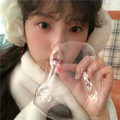 红色康乃馨