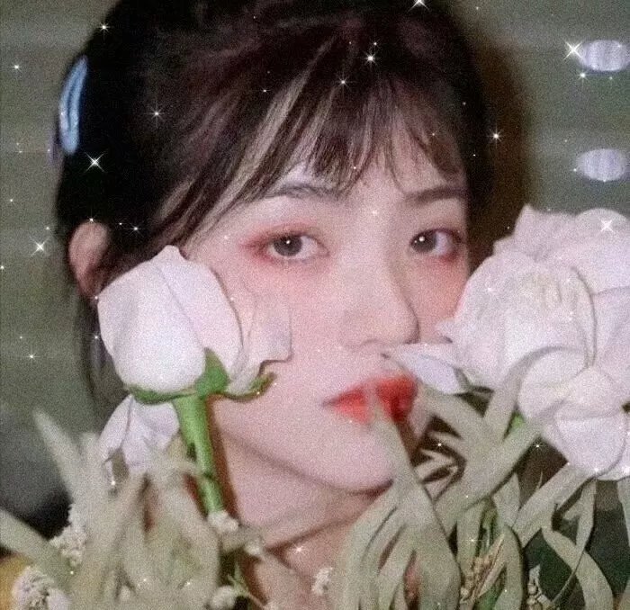 歌王卡罗素