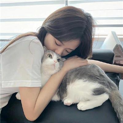 动物新世代